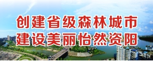 骚逼草死你5566创建省级森林城市 建设美丽怡然资阳